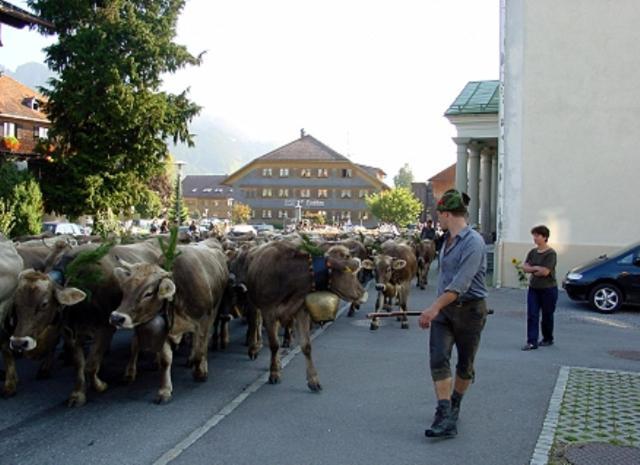 Hotel Oxa Hittisau Buitenkant foto